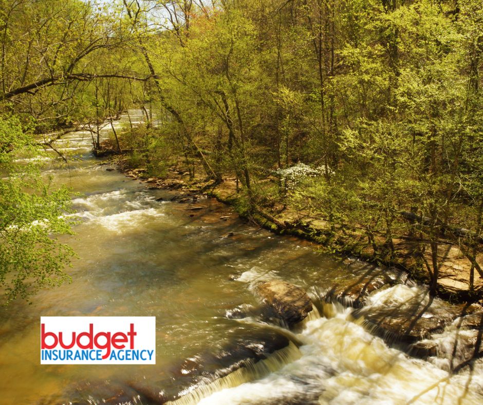 Budget Auto Car Insurance in Roswell GA